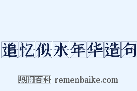 追忆似水年华造句是什么意思的图片